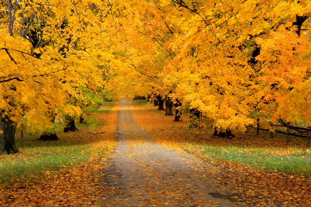 Вы пожертвовали в сентябре 5 миллионов рублей