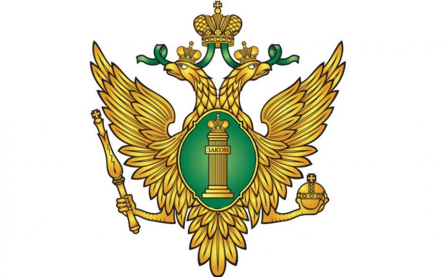 Отчет Благотворительного Фонда «Православие и Мир» в Министерство Юстиции