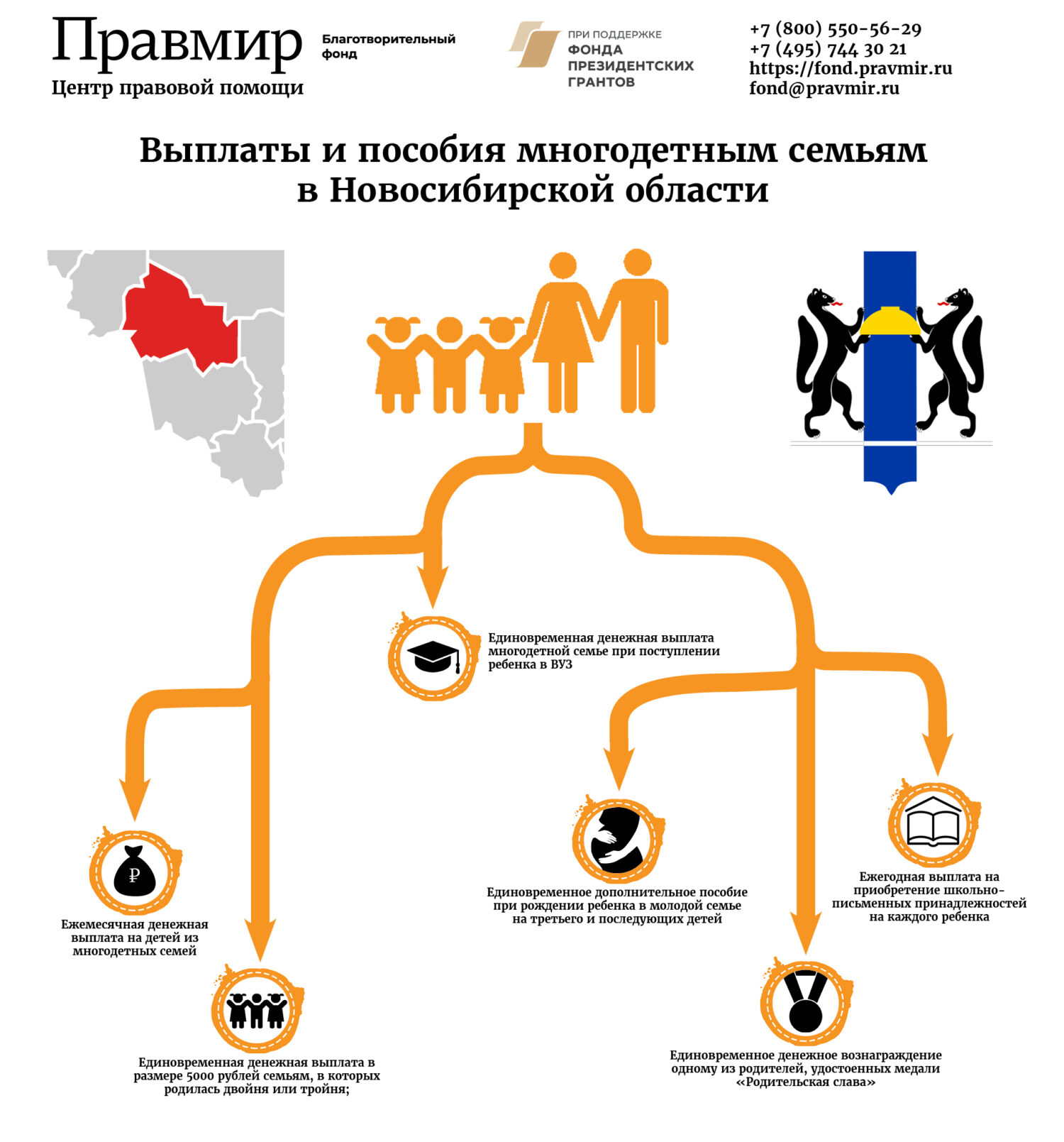Выплаты и пособия многодетным семьям в Новосибирской области