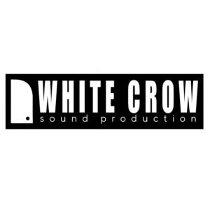 Студия звукозаписи White Crow дарит 2 часа записи